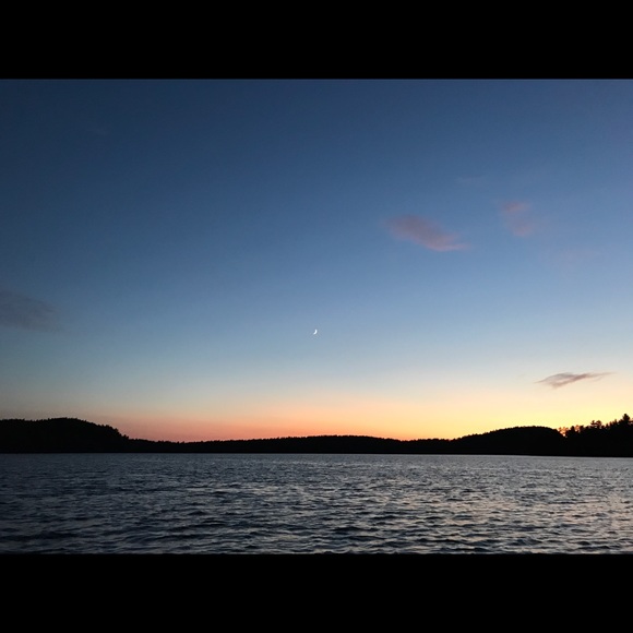 Meet your Posher, Tessa - Picture 1 of 1